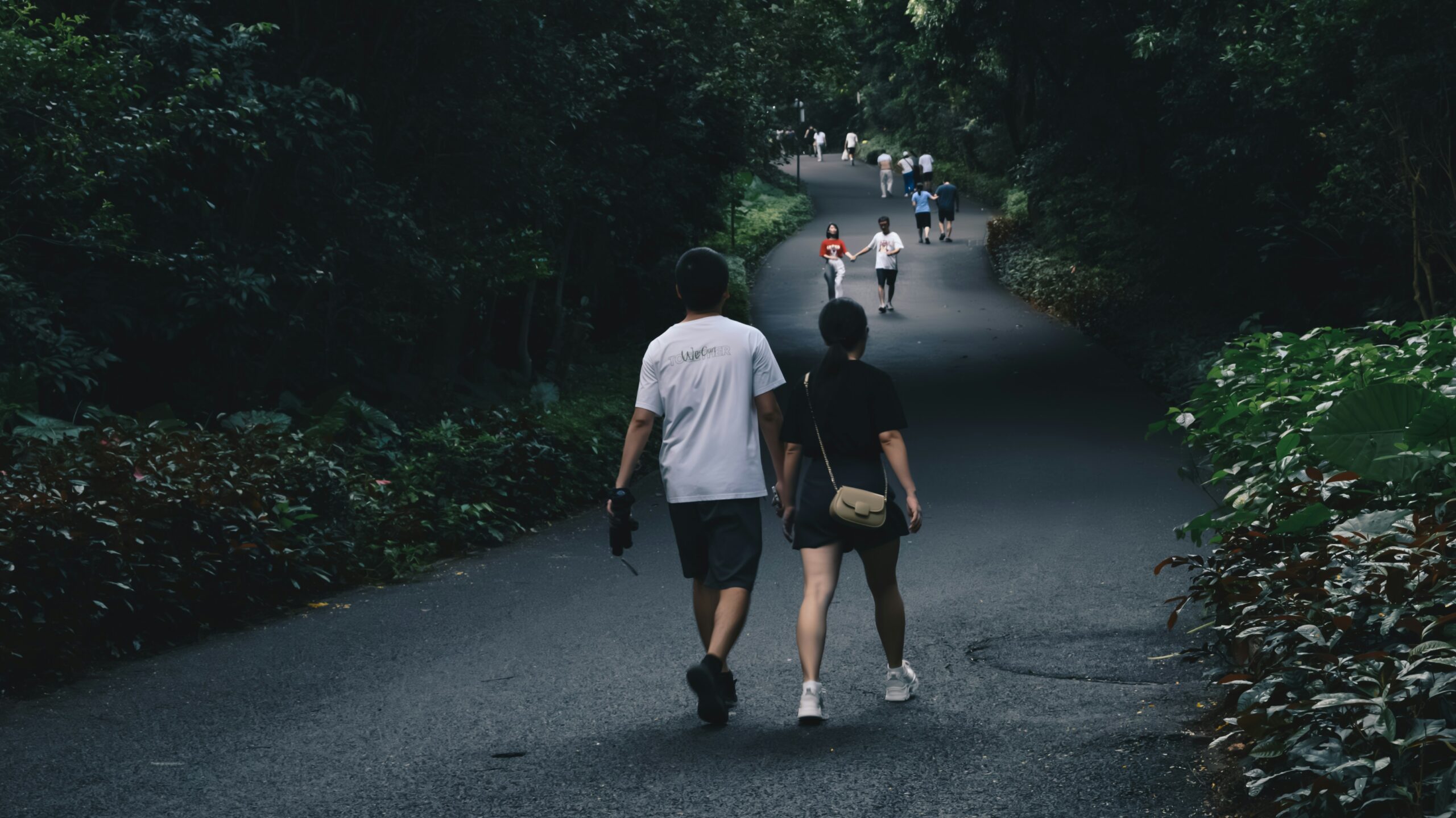 株式投資、節約、入金力